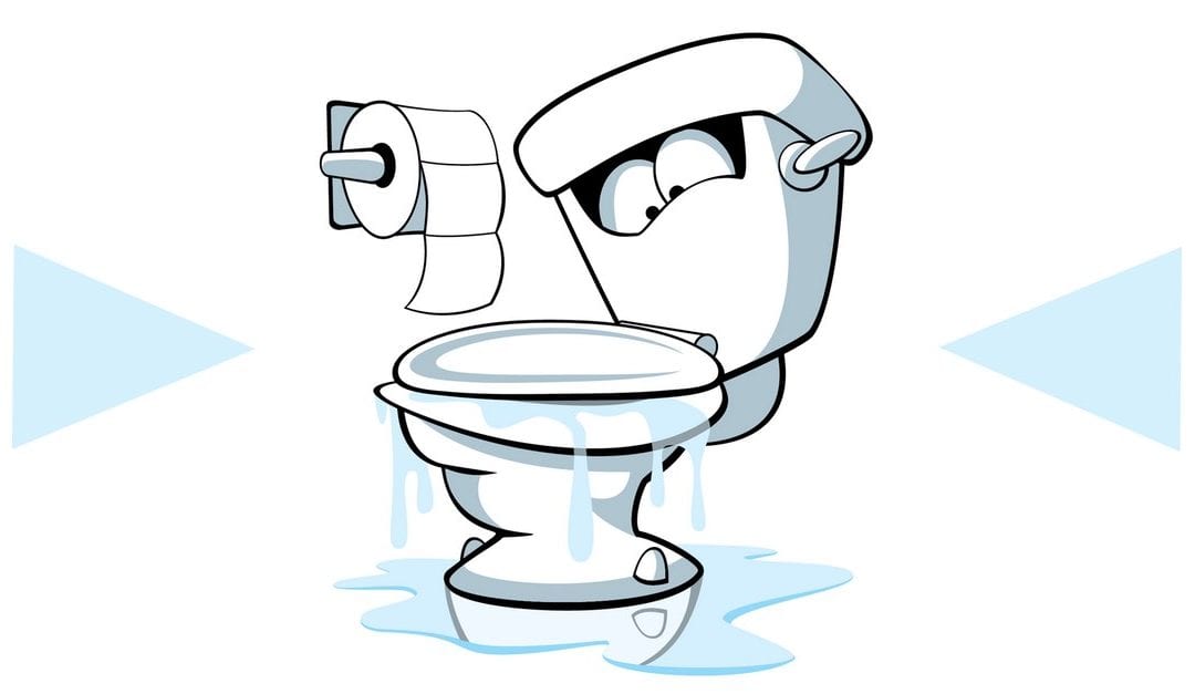 6 Common Plumbing Problems & How To Fix Them