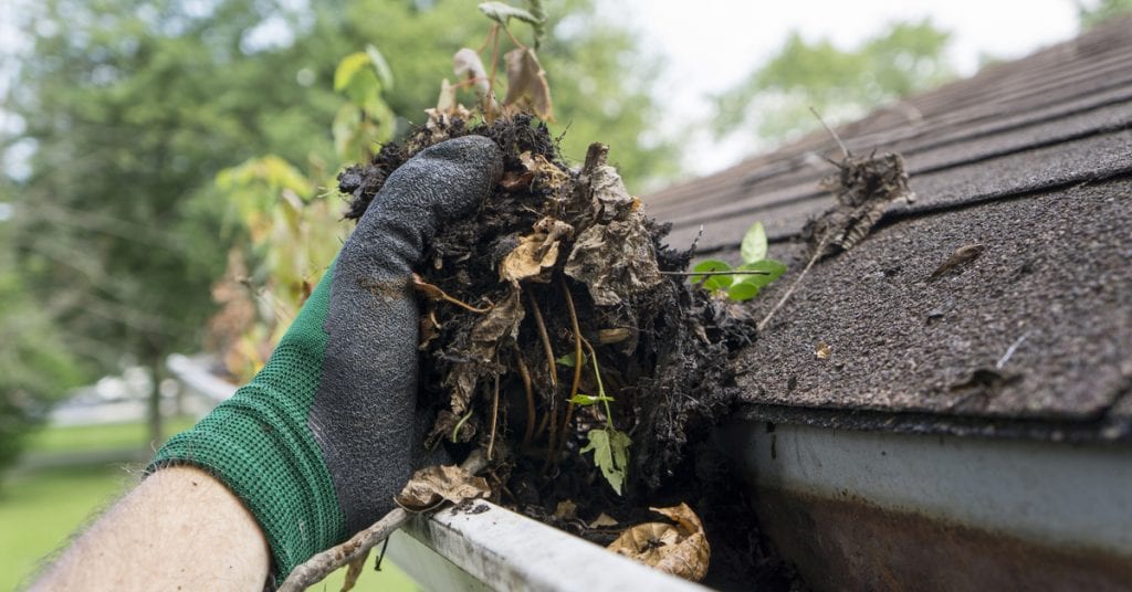 4 Vital Spring Plumbing Projects