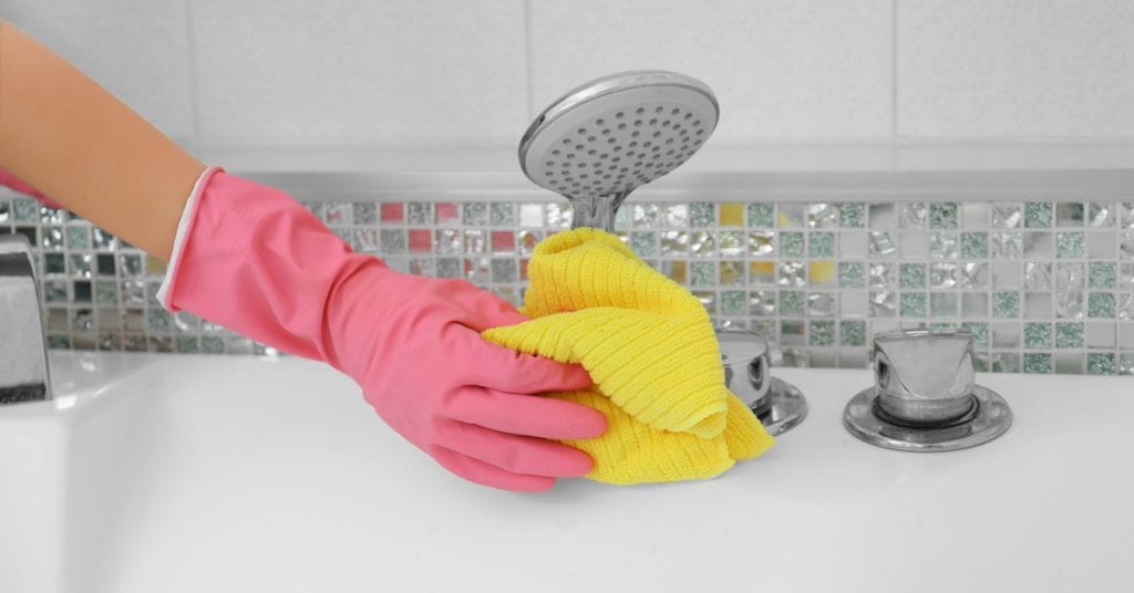 4 Vital Spring Plumbing Projects