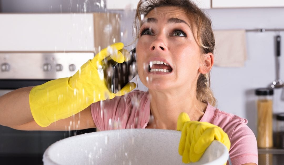 What to Do If You Suspect a Water Leak