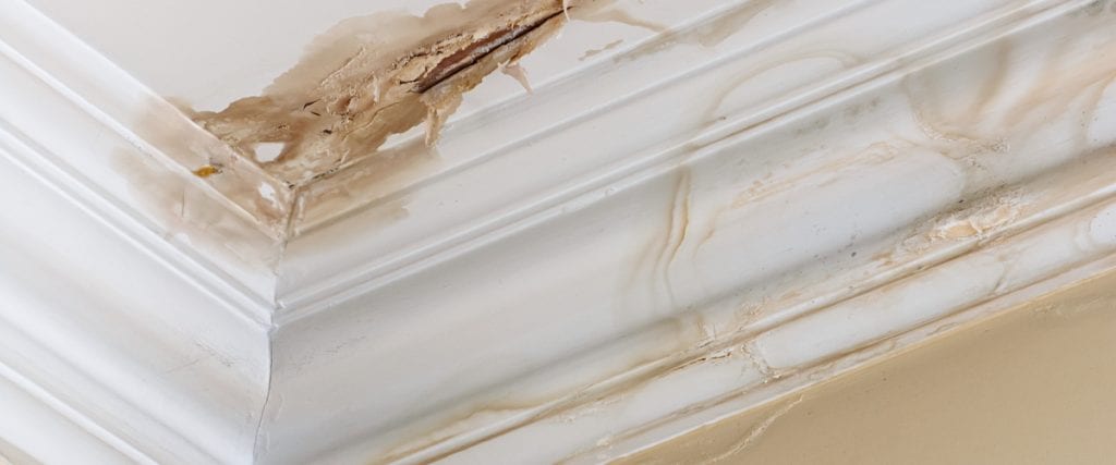 5 Tell-Tale Signs of a Leaking Pipe