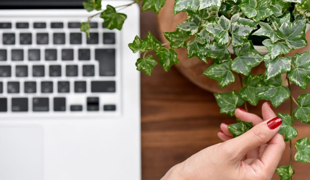 5 Simple Ways To Improve Winter Humidity in Your Home