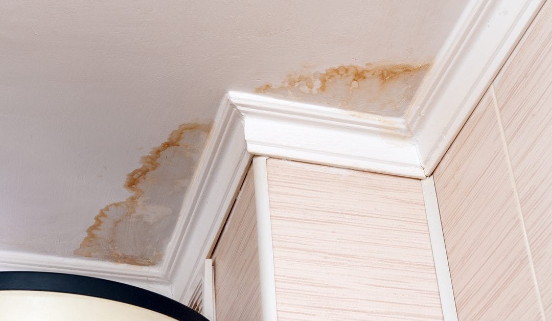 Water Leak Inside a Wall: Signs and Solution