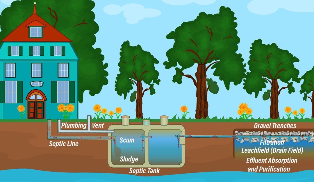 Septic System For Beginners