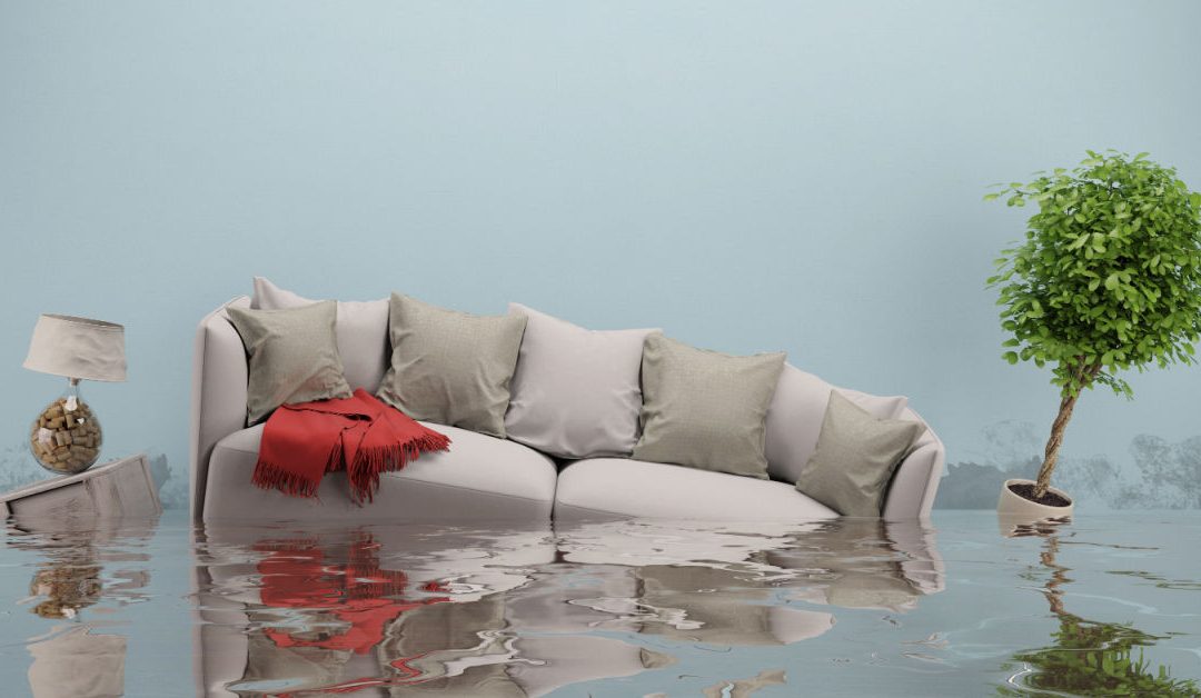 Water Damage Emergency: What To Do