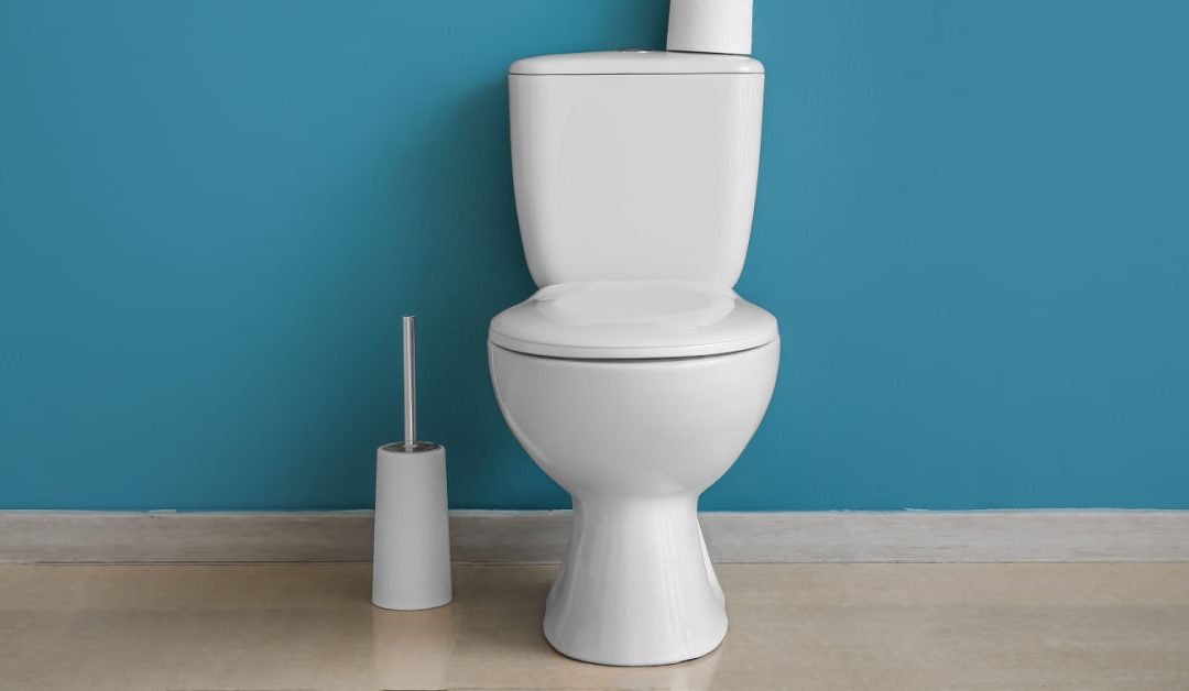 The Do’s & Don’ts of Cleaning Your Toilet
