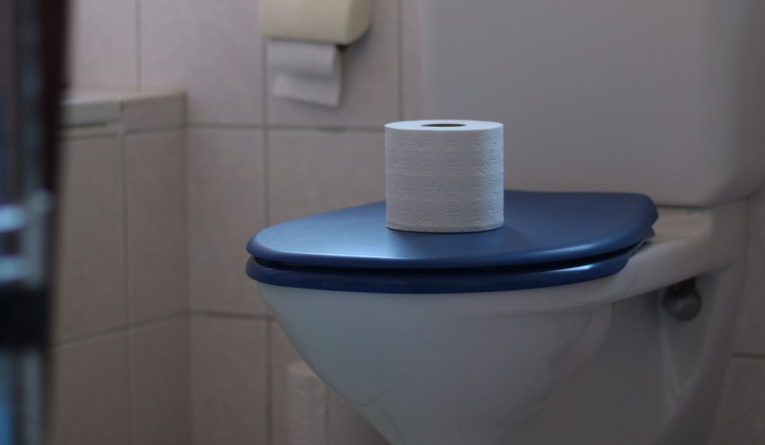 Best Toilet Paper for Septic Systems: How To Choose