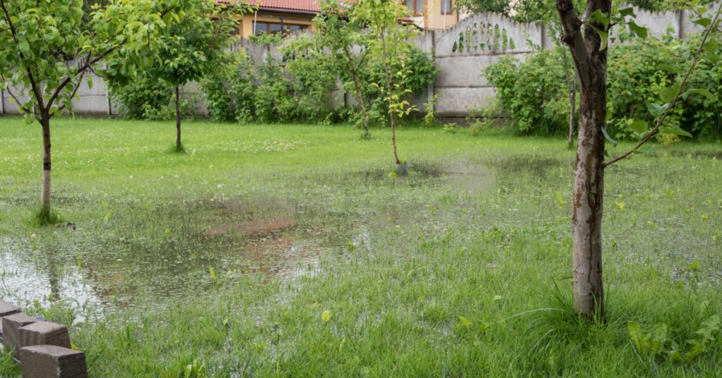 Main Water Line Service and Repair in NJ: Know the Signs!