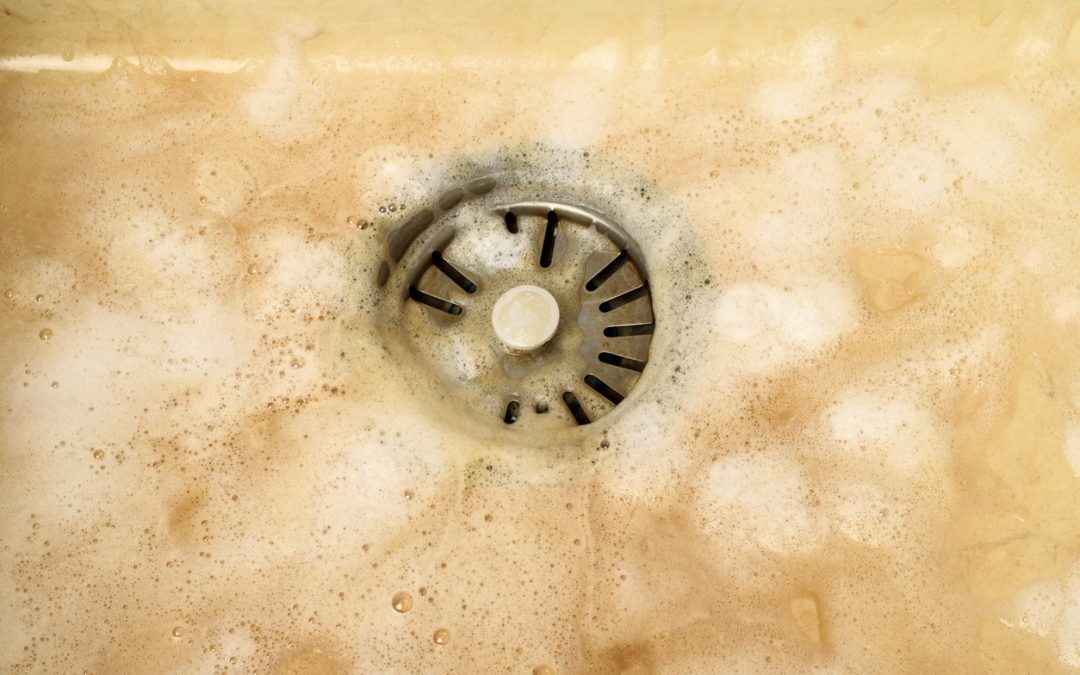 No, Coca-Cola Won’t Clean Your Drains (and Other Plumbing Myths)